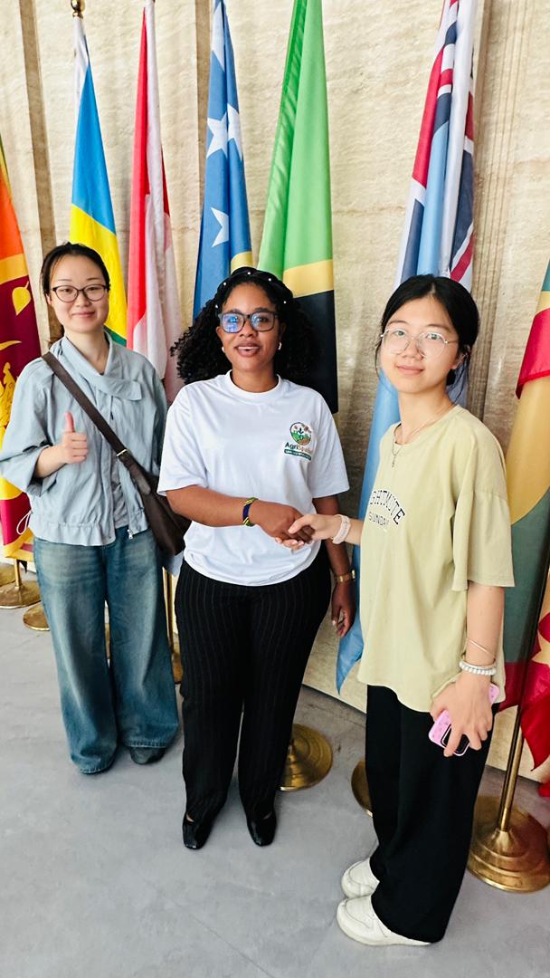 Ambassadors