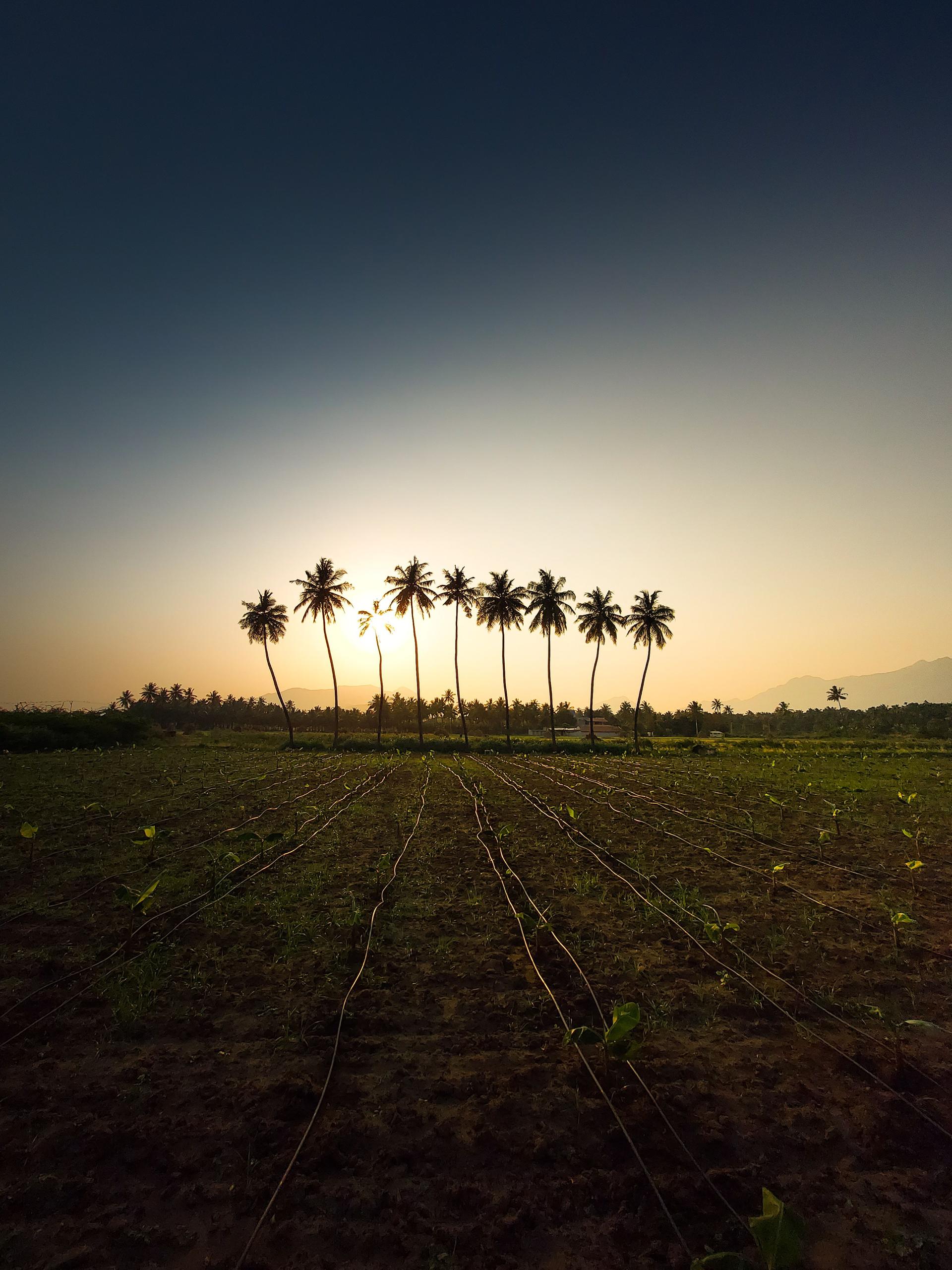 AgriSpatial 7